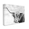 Stupell Industries Bold Country Cattle Photography Canvas Wall Art